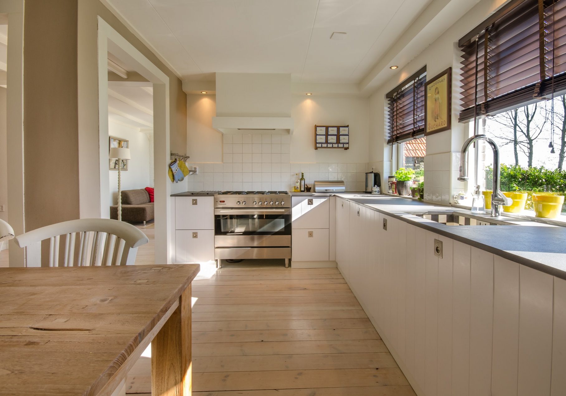 Mold Free Kitchen Clean